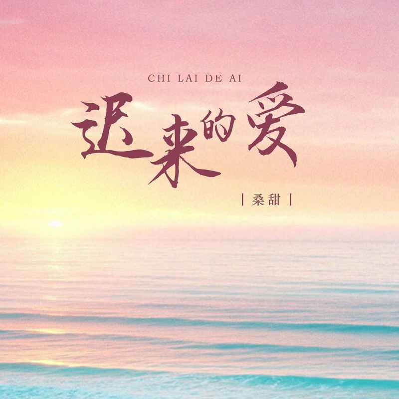 迟来的爱 (女版伴奏)封面