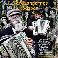 I Gårdsangernes Fodspor Vol. 14