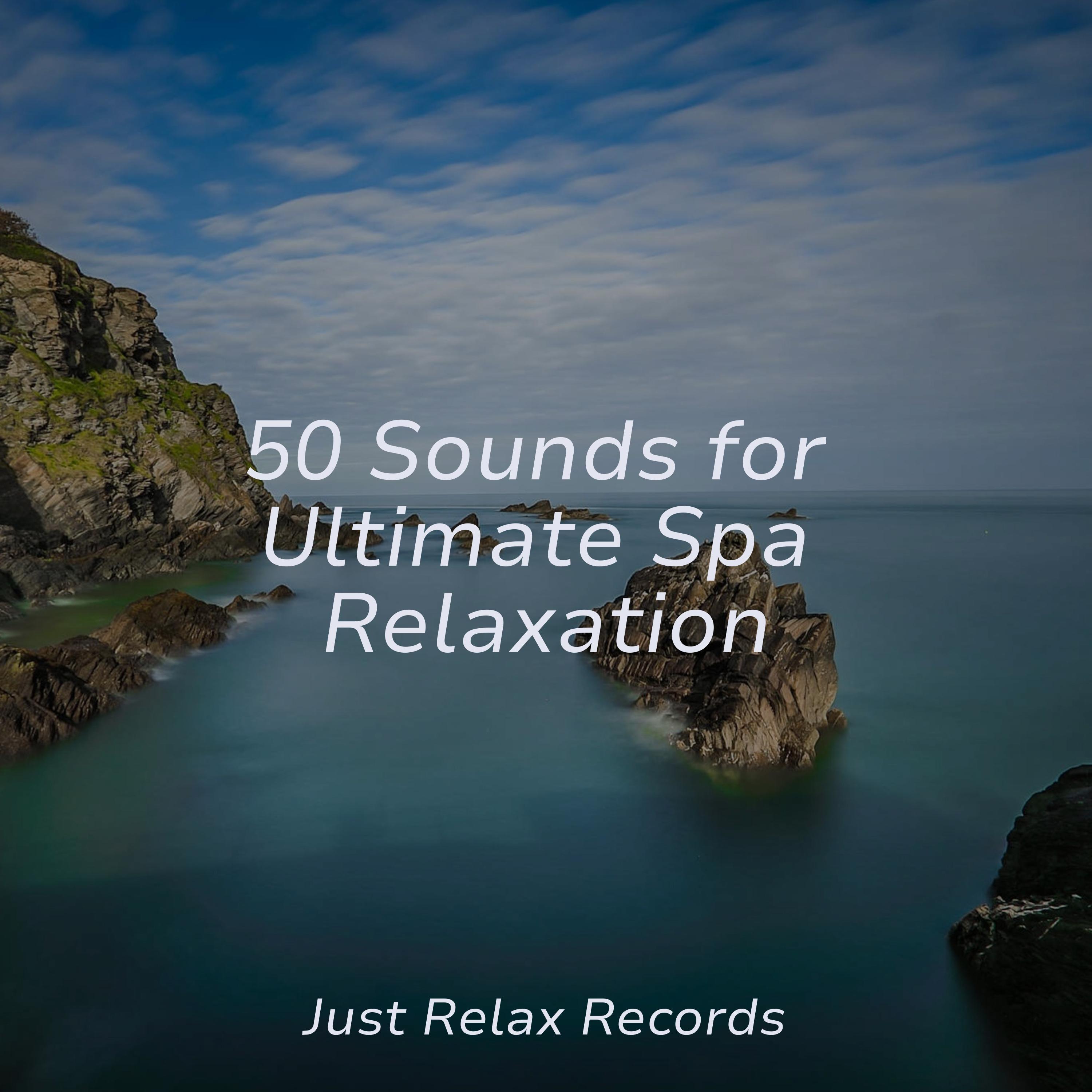 Echoes of Aurora's Embrace