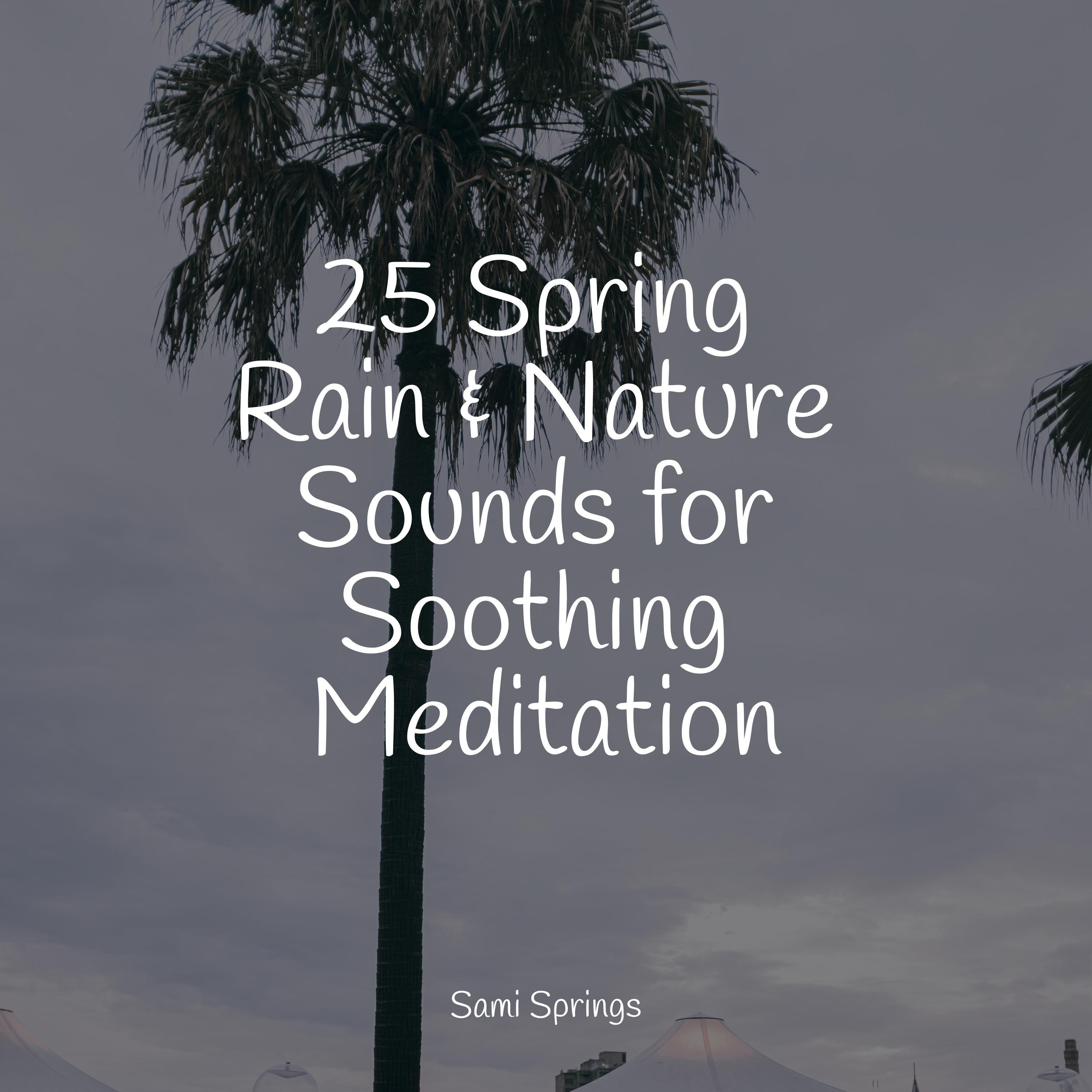 25 Spring Rain & Nature Sounds for Soothing Meditation - Nature and ...