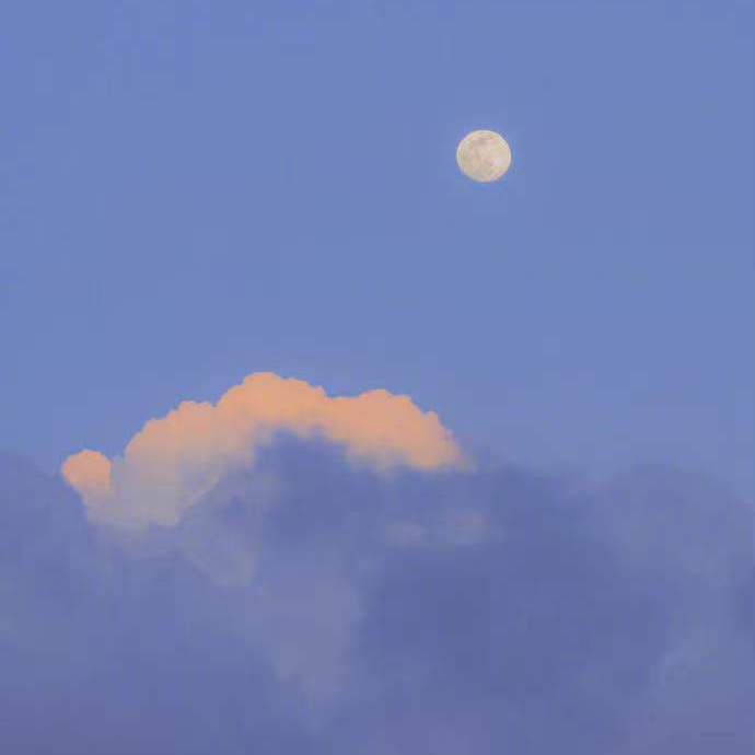 焦虑粉碎机（治愈女声版）