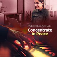 Concentrate in Peace