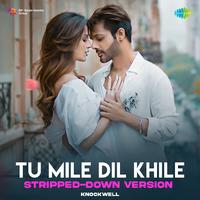 Tu Mile Dil Khile - Stripped Down Version