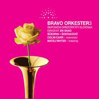 Bravo orkester vol. 3