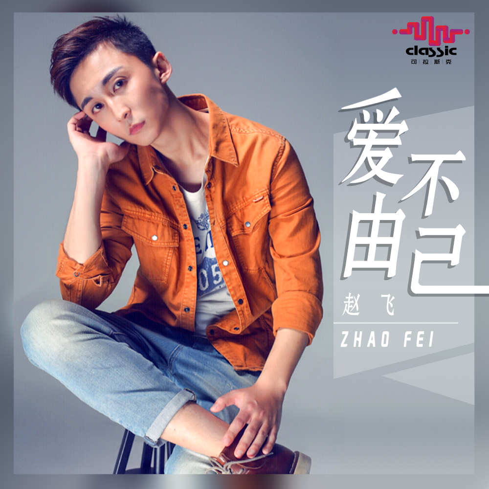 爱不由己封面