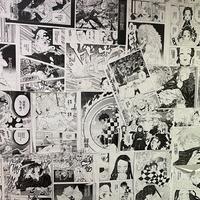 锴子资料,锴子最新歌曲,锴子MV视频,锴子音乐专辑,锴子好听的歌
