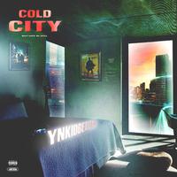 Cold City