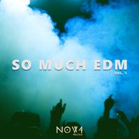 So Much EDM, Vol. 1