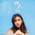 爱河 (DJ版)封面