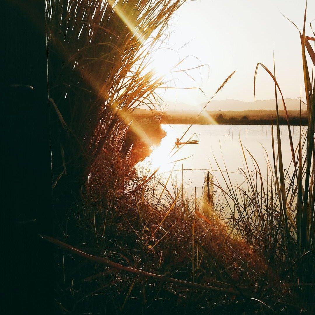 随缘补刀的中单