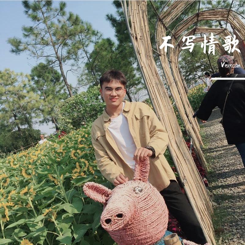 不写情歌 - Vertcan封面