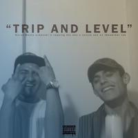 Trip and Level