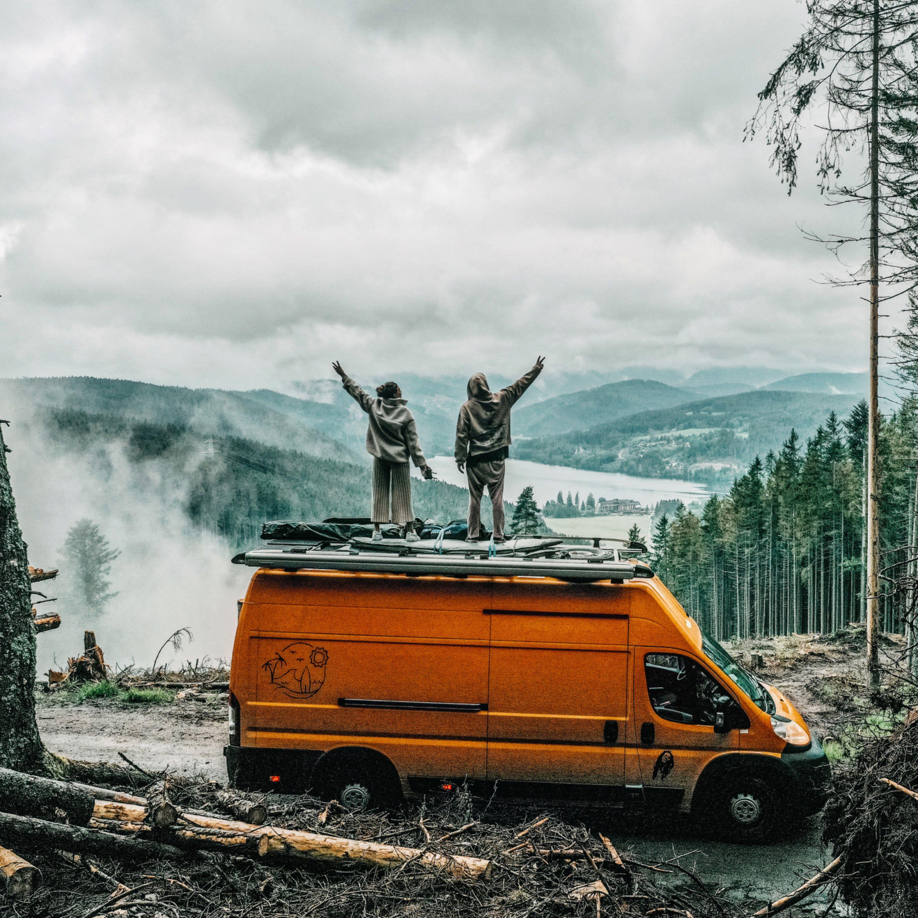 Die grüne Welt nur noch Kunst