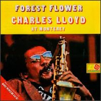 Forest Flower: Live in Monterey