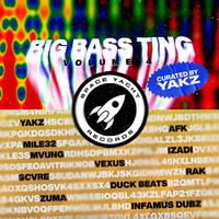 Big Bass Ting Vol. 4