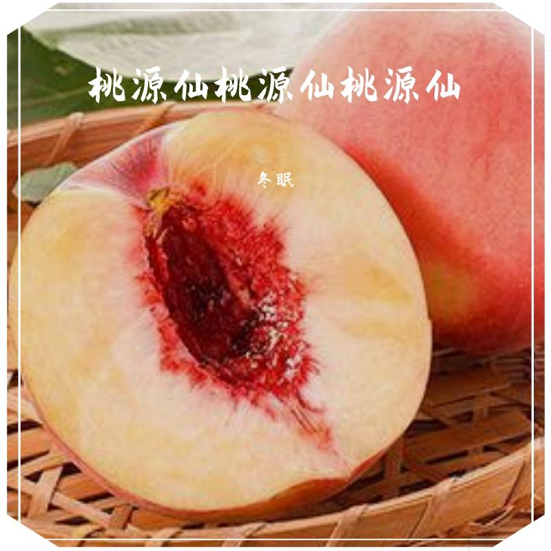 DJDJ给我一条K封面