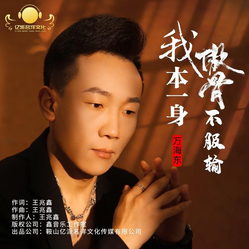 我本一身傲骨不服输封面