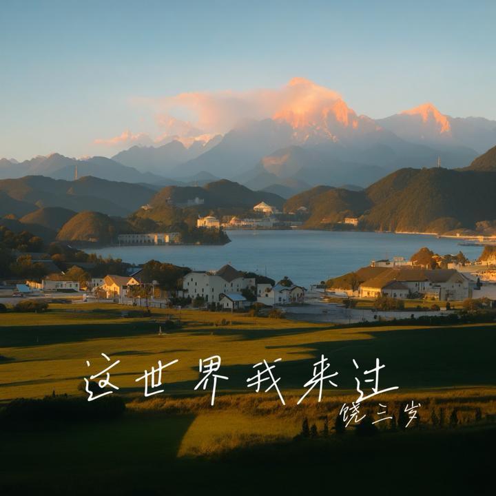 这世界我来过封面