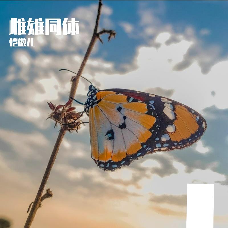 逆风的蝶 - 恺傲儿封面