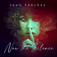 Now the Silence