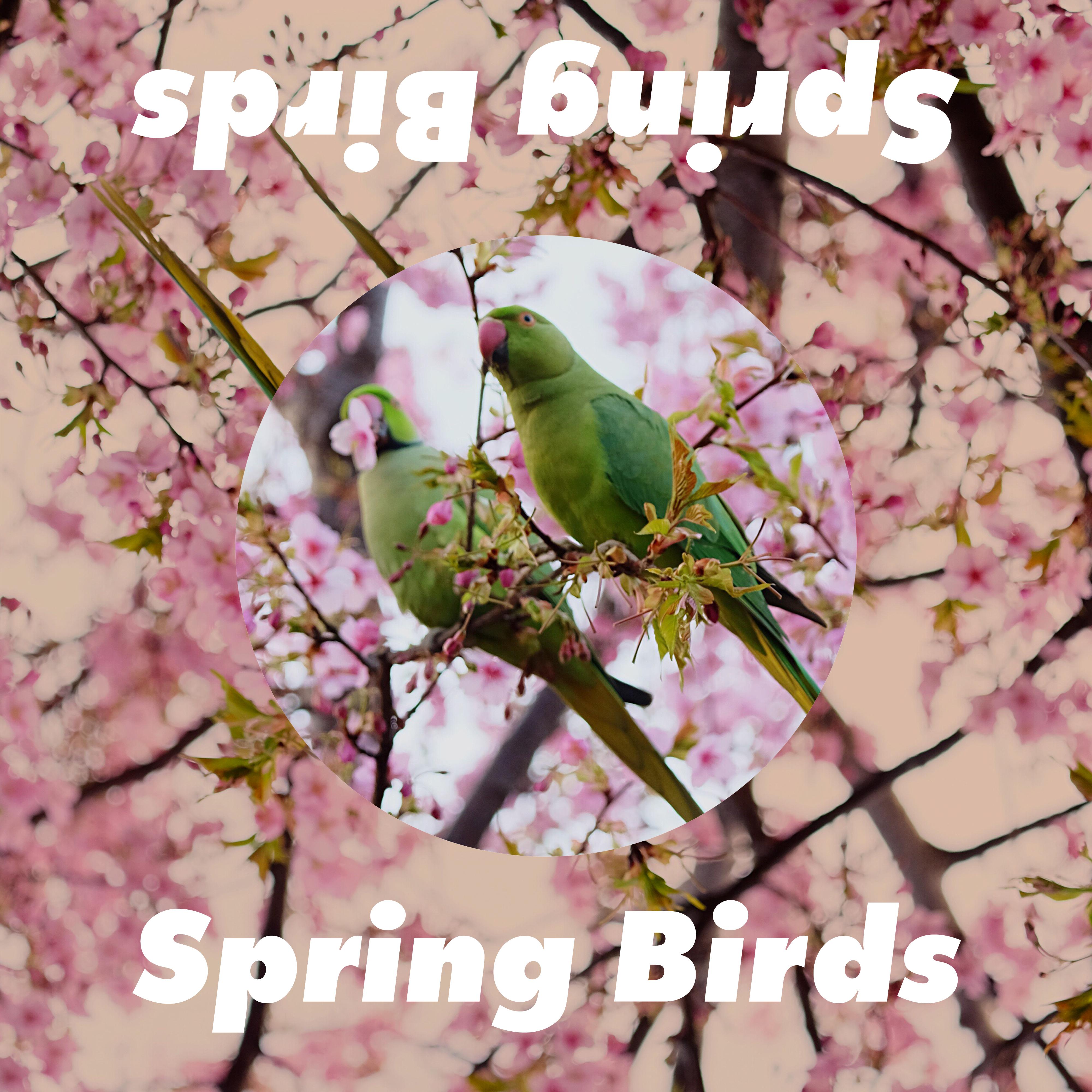  Attracting Birds with Flowers: A Comprehensive Guide to Creating a Thriving Bird-Friendly Garden