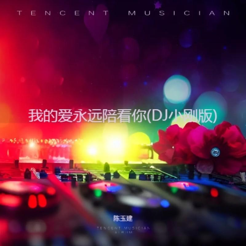 我的爱永远陪着你 (DJ小刚减速版)封面