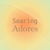 Soaring Adores