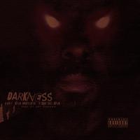 Darkness (feat. King Magnetic & Official King)