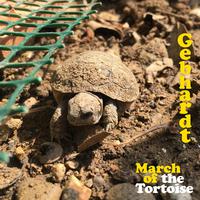 March of the Tortoise