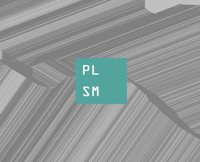 P L U S M _