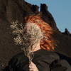 Goldfrapp - Systemagic