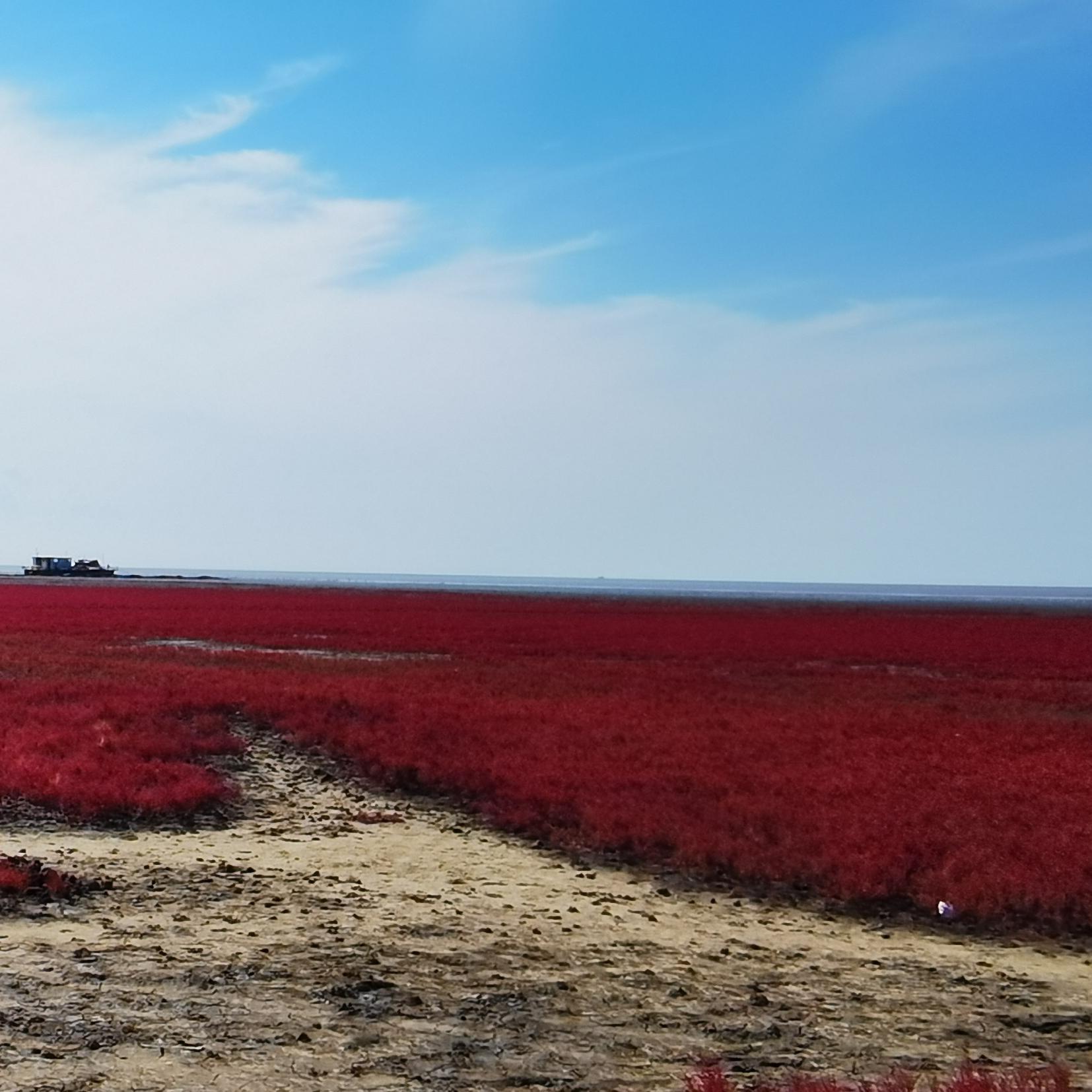 再唱学习雷锋好榜样 伴奏