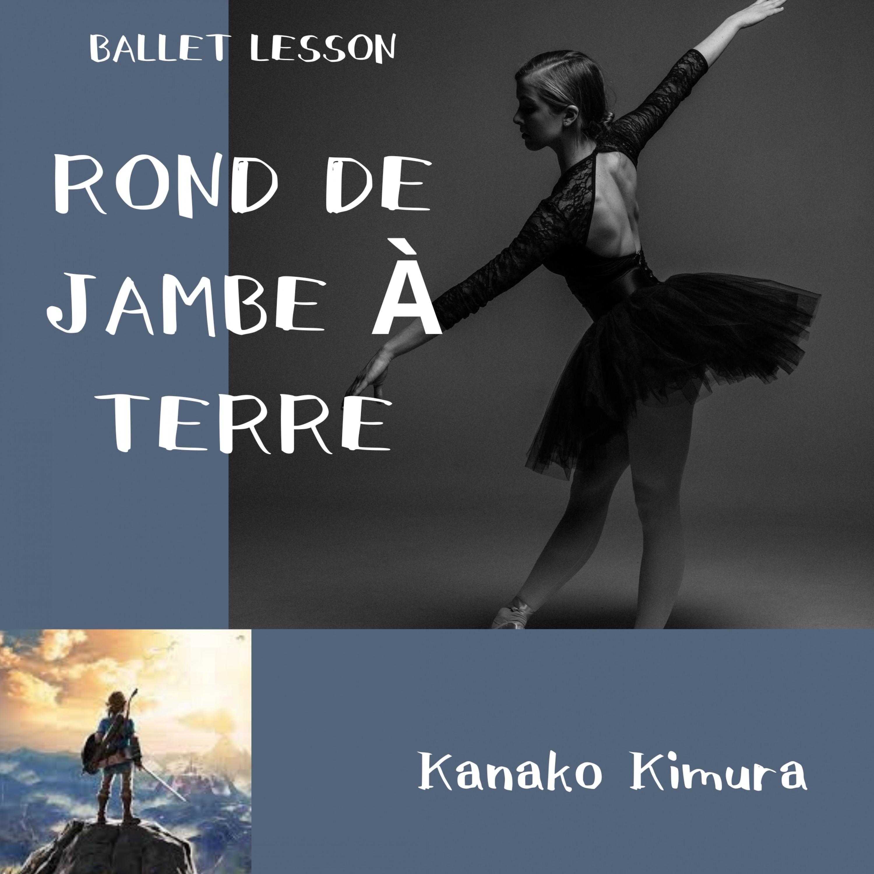 Rond de jambe à terre of Zelda