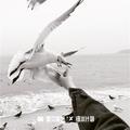 穿上裙子就是兵