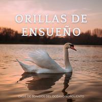 Orillas De Ensueño: Oasis De Sonidos Del Océano Soñoliento