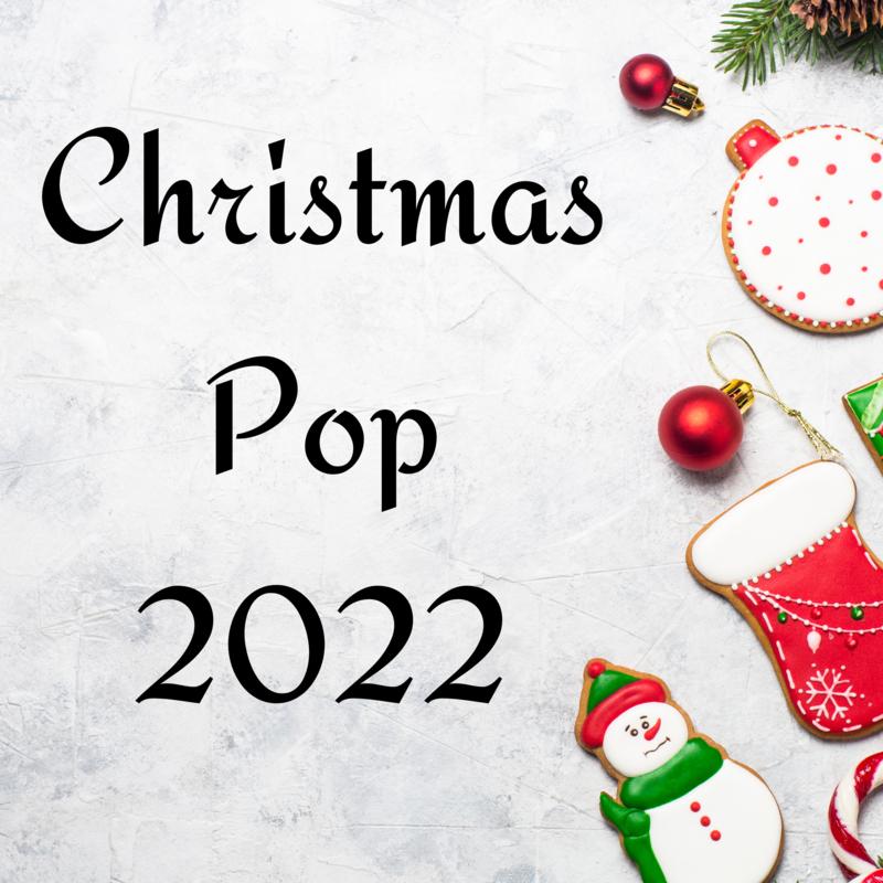 The Christmas Song Shawn Mendes/Camila Cabello 单曲 网易云音乐