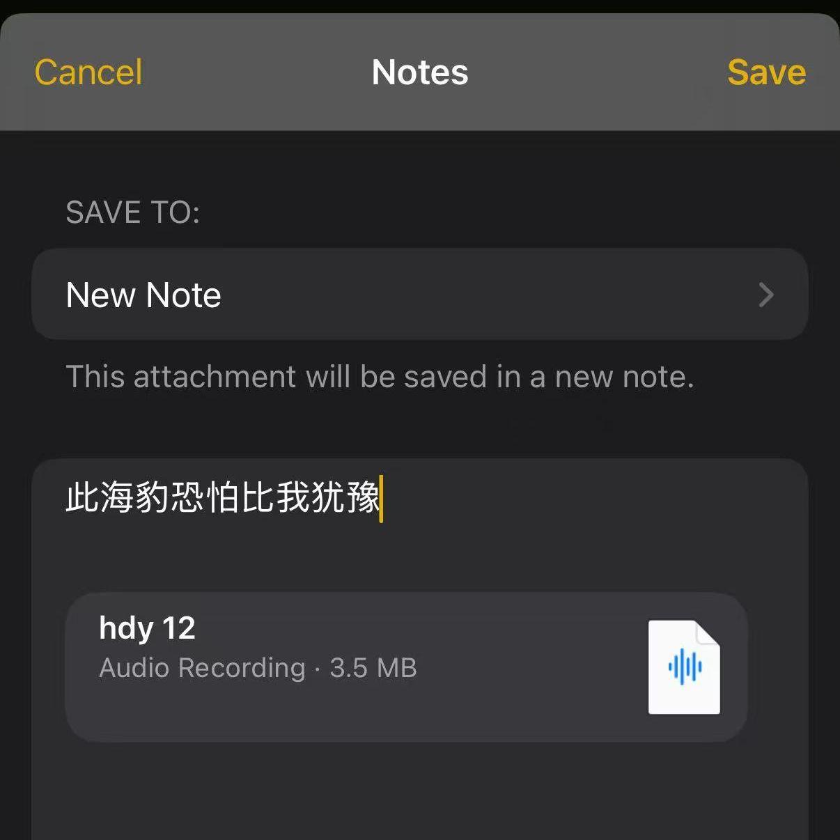 此海豹的忧郁程度恐怕在我之上