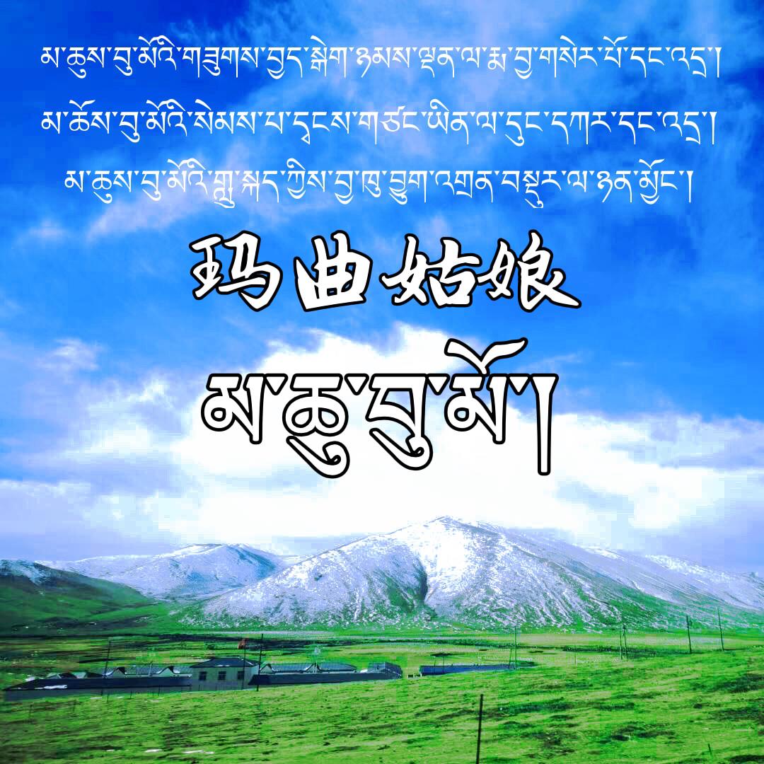 玛曲姑娘（翻自 扎西尼玛）封面