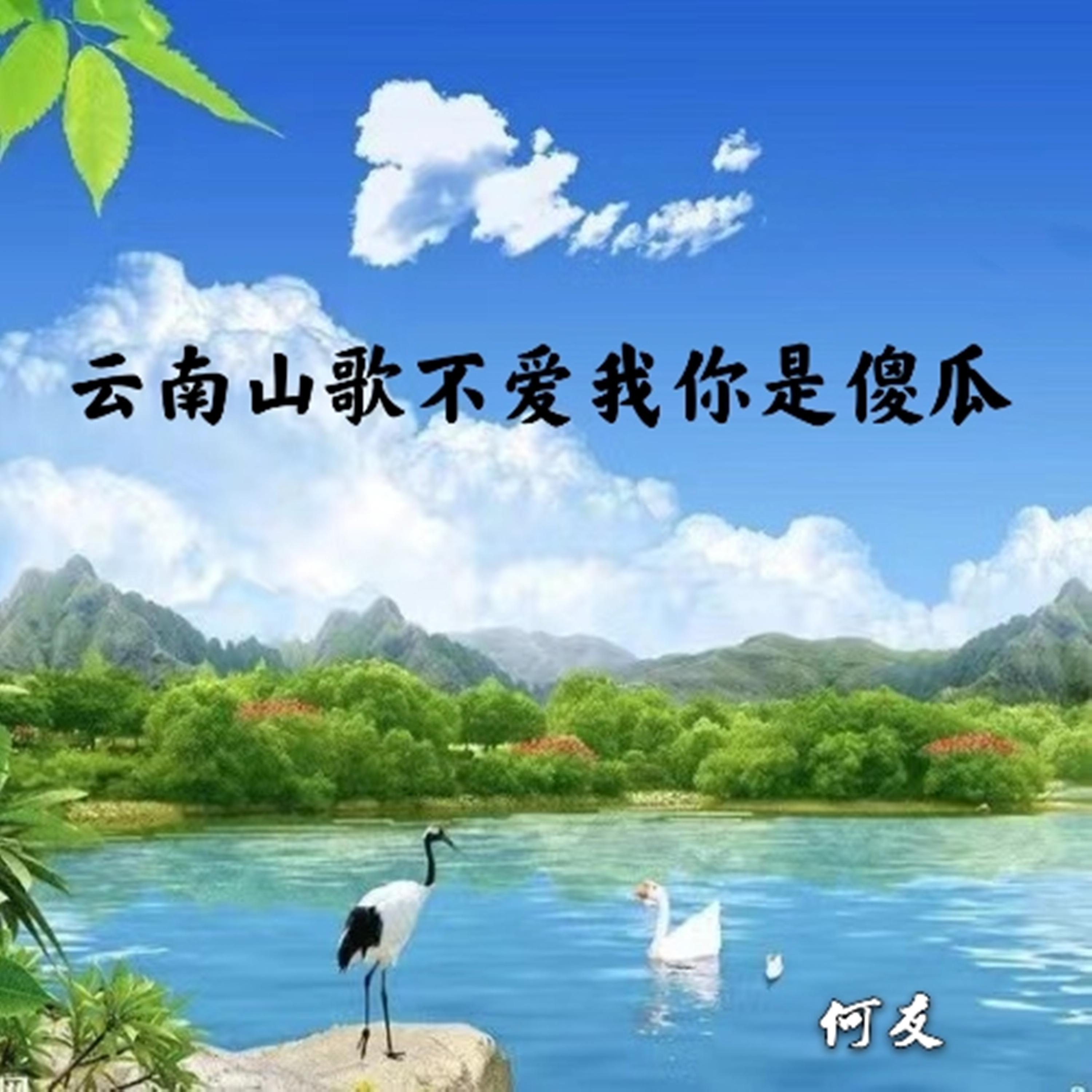 云南山歌彝族敬酒歌 (DJ何友版） - DJ何友封面