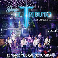 El Viaje Musical de Tu Vida, Vol. 4