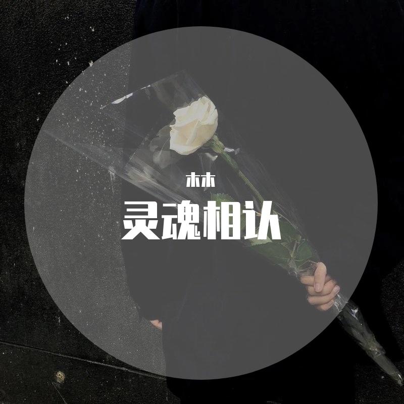 灵魂相认（翻自 轩轩）封面