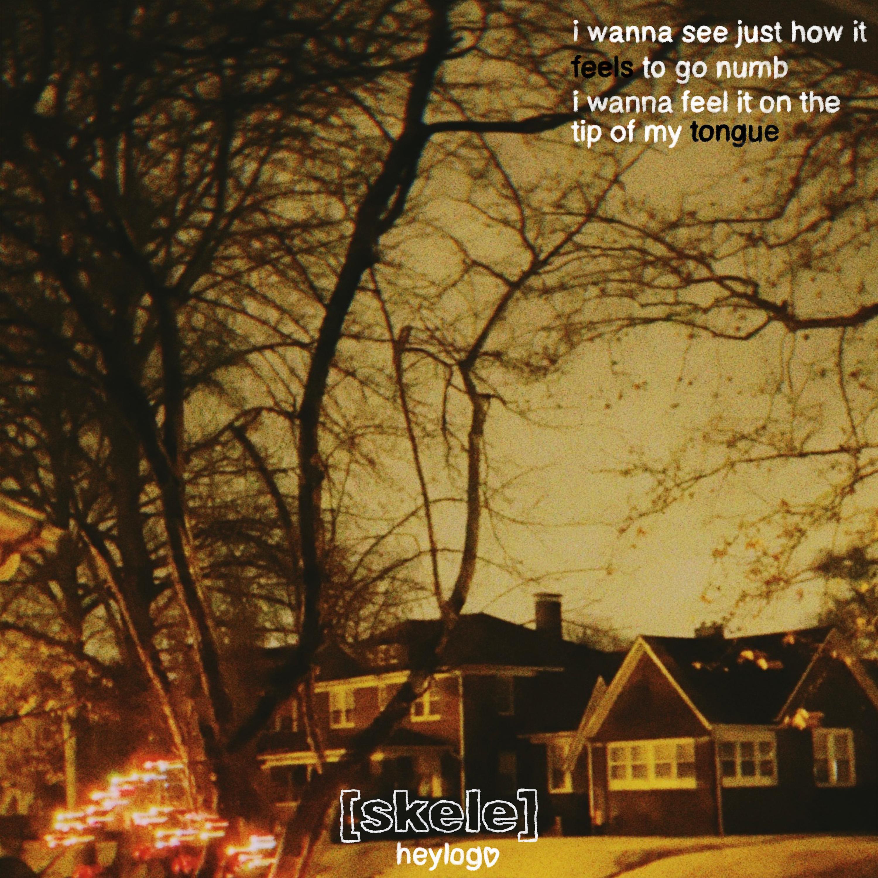 tip of my tongue (feat. heylog)
