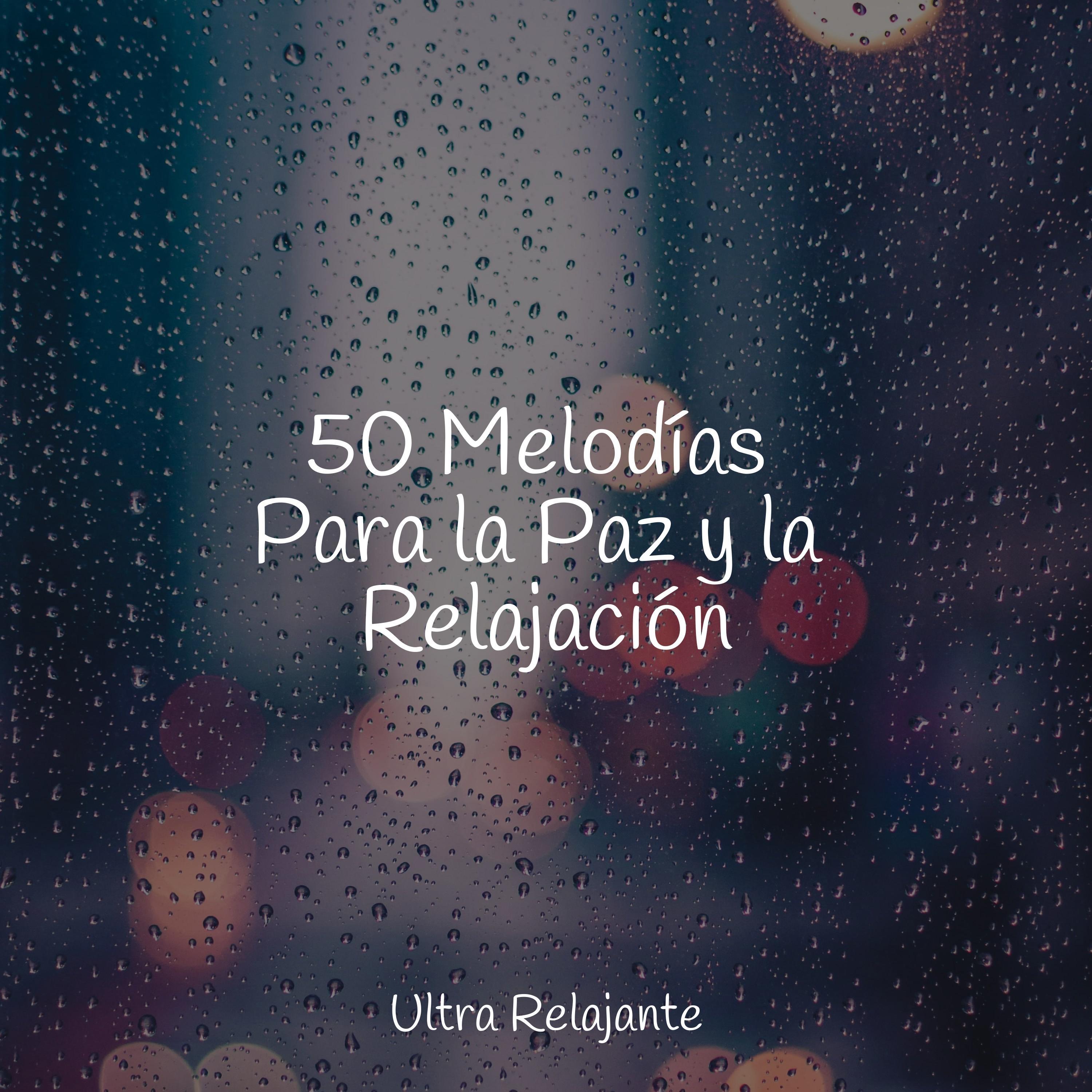 Eterno Suavemente_Piano Relajante_50 Melodías Para la Paz y la Relajación | 在线播放_Eterno Suavemente歌词_Eterno Suavemente下载 | 网易云音乐