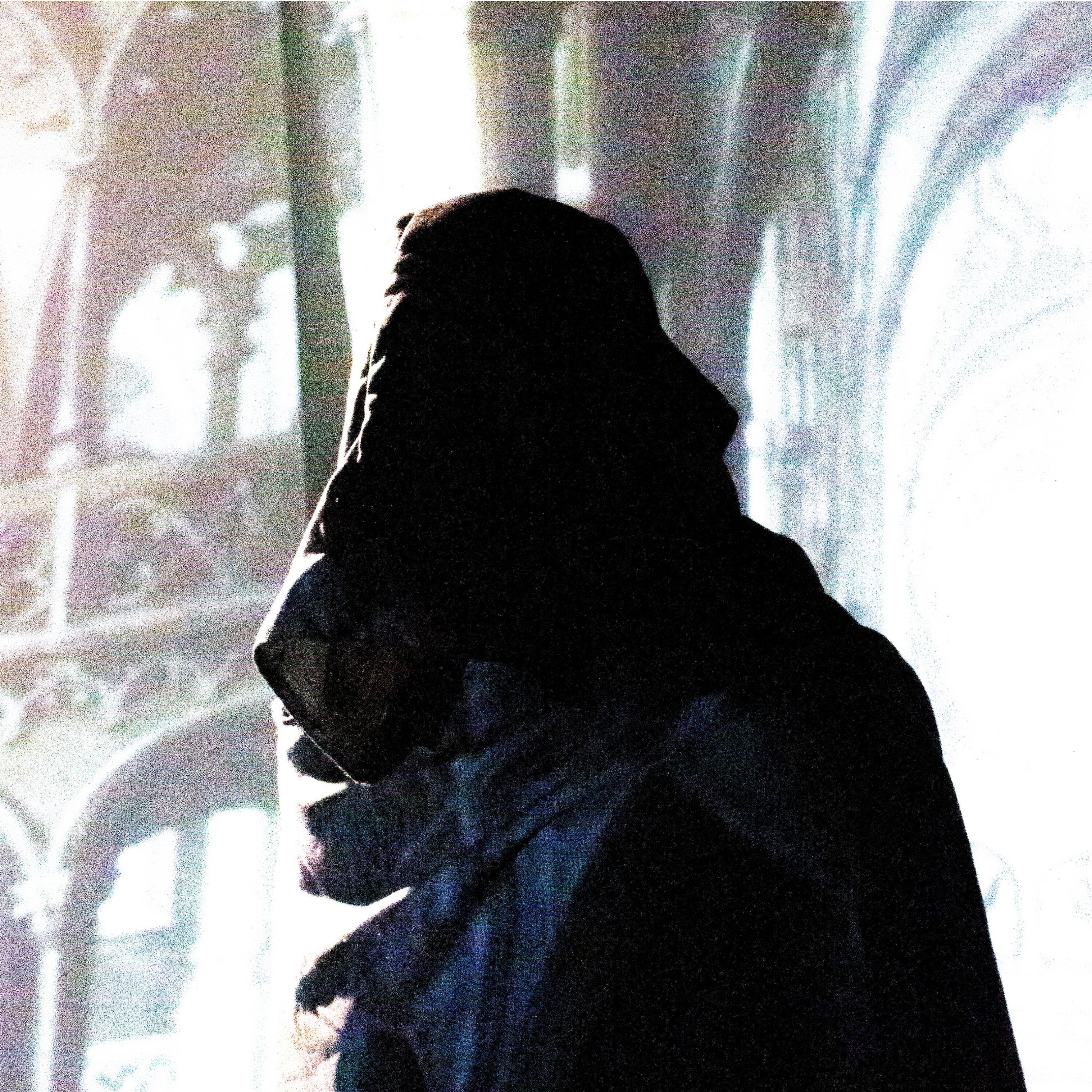 Appealing to Non Human Entities