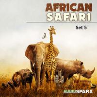 African Safari, Set 5