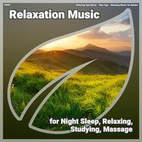 #0001 Relaxation Music for Night Sleep, Relaxing, Studying, Massage