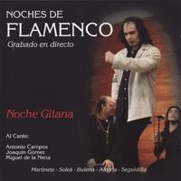 Noches de Flamenco - Noche Gitana