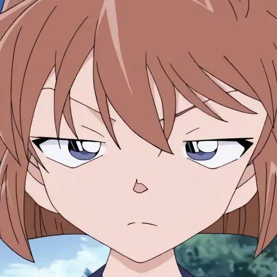 不摇碧莲侯力豪