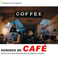 Sonidos de Cafe - estudiar, meditar, dormir, sonidos relajantes