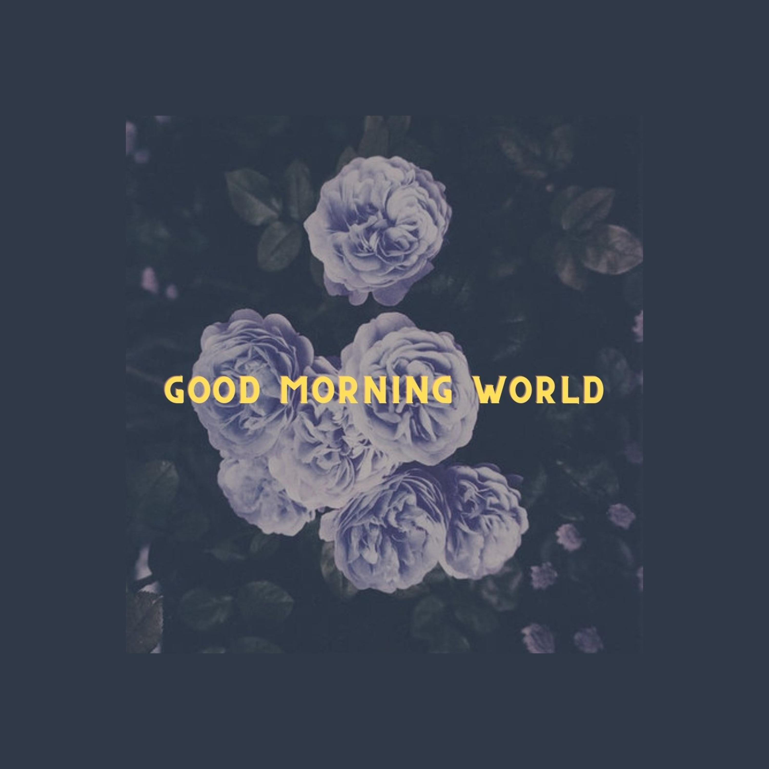 Good Morning World Lofi (Dr. Stone)